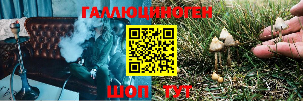 Псилоцибиновые грибы мухоморы  Вход с VPN  Похвистнево 