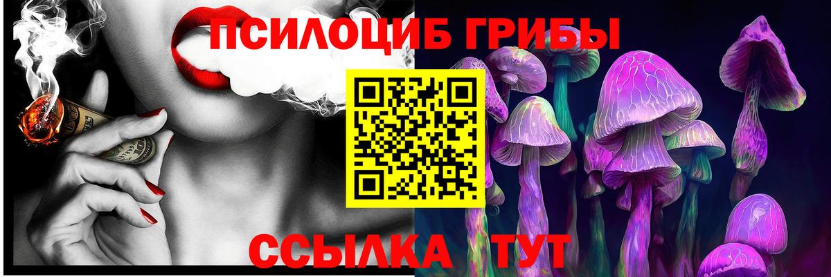Псилоцибиновые грибы ЛСД Похвистнево